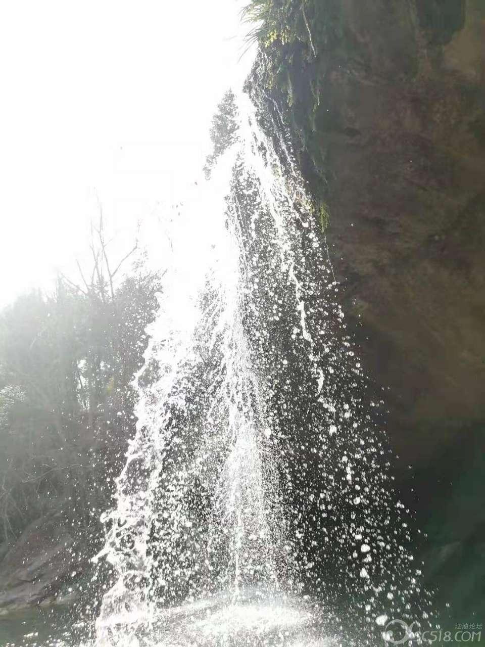 逃出猫头鹰屋