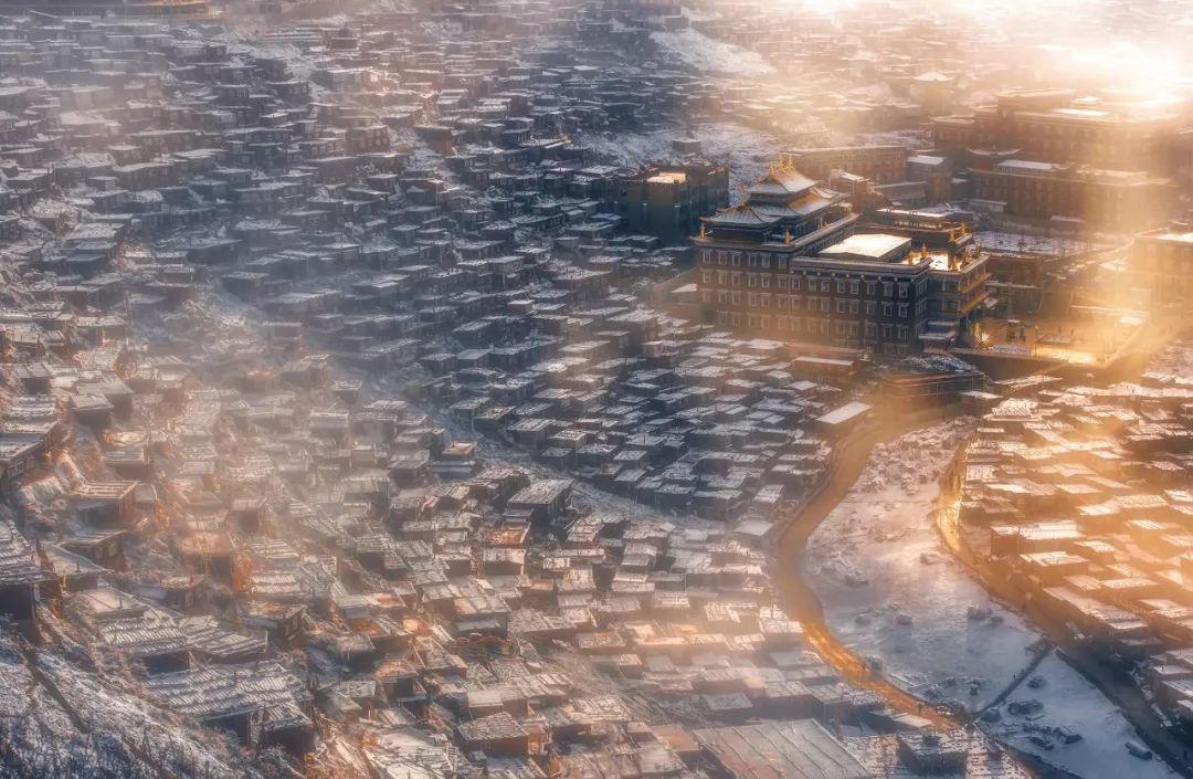 燃烧吧大脑免广告最新版