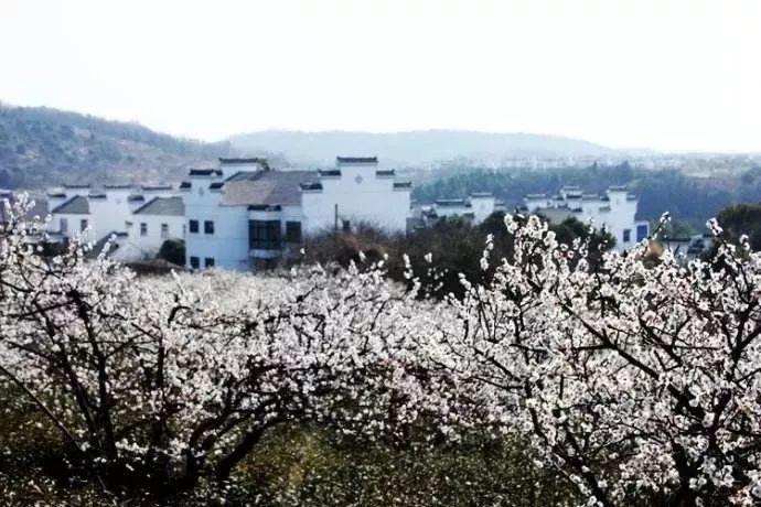 分手后前任一直不回复我怎么办？游戏画面