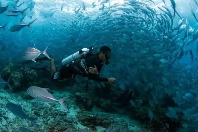 我国明确生物多样性保护“路线图”(新华社)
