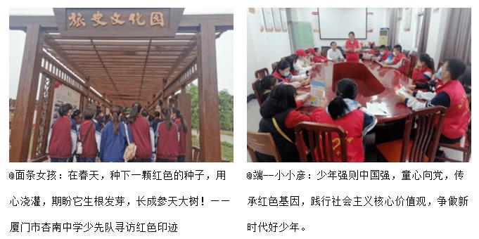 救援受困的老虎