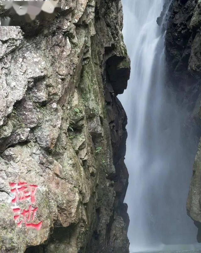 彭昱畅送礼风波败好感,宣传电影无人捧场,黄磊许魏洲沉默好现实