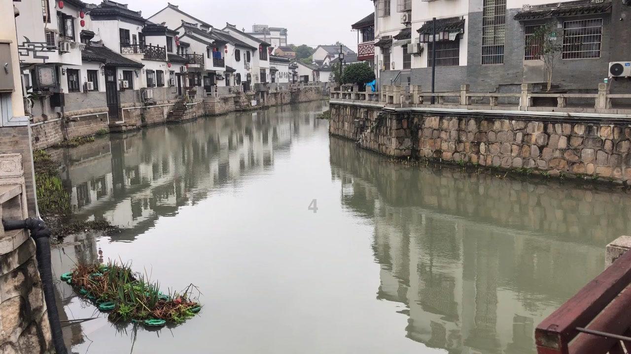 蔬菜忍者