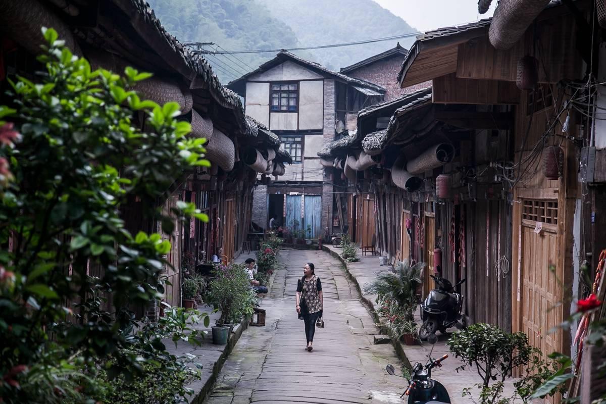 救援甜蜜熊